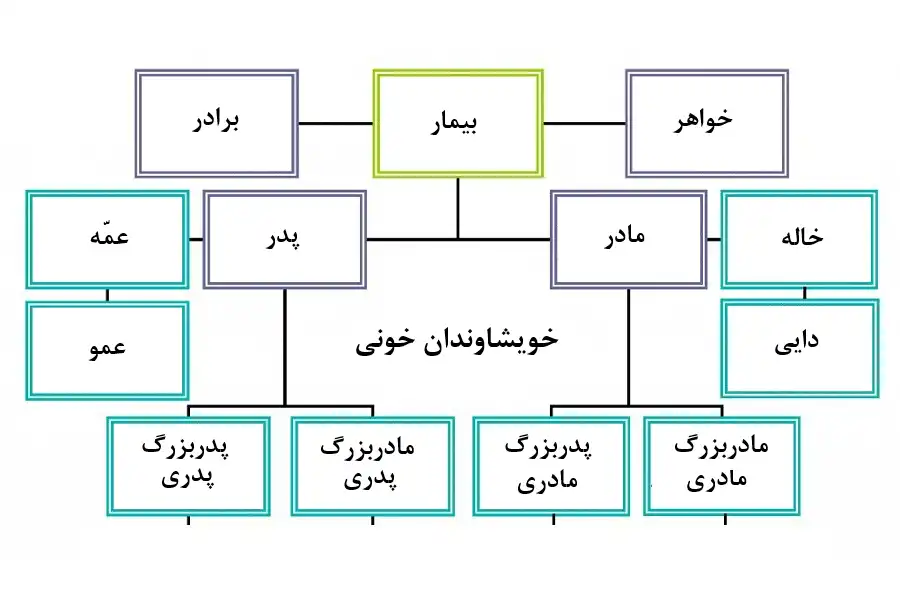 تاریخچه پزشکی بیمار، علاوهبر سابقه بیماریهای شخصی، بیماریهای خانوادگی او را هم دربر میگیرد.