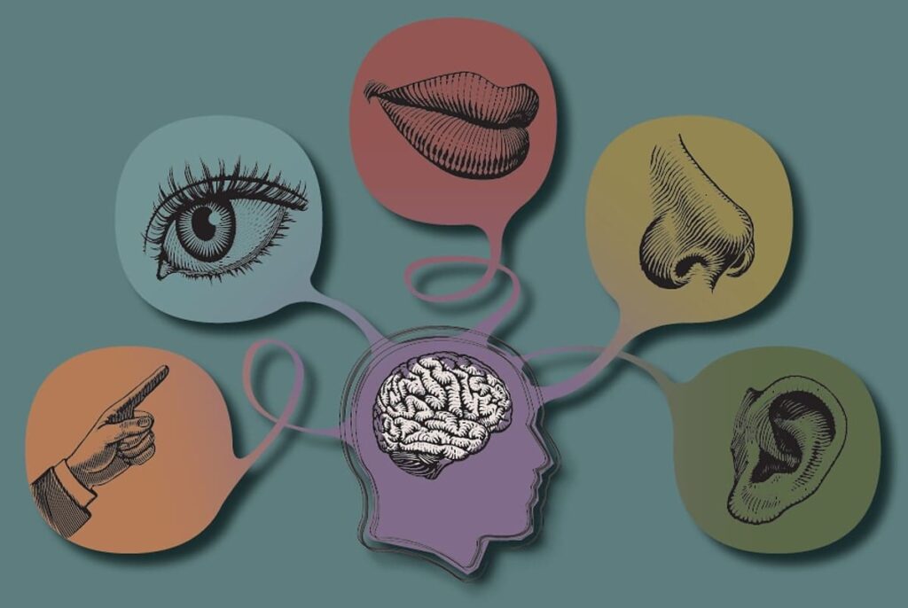 اختلال حواس (Sensory Impairment) یکی از پیامدهای طبیعی فرایند پیری است