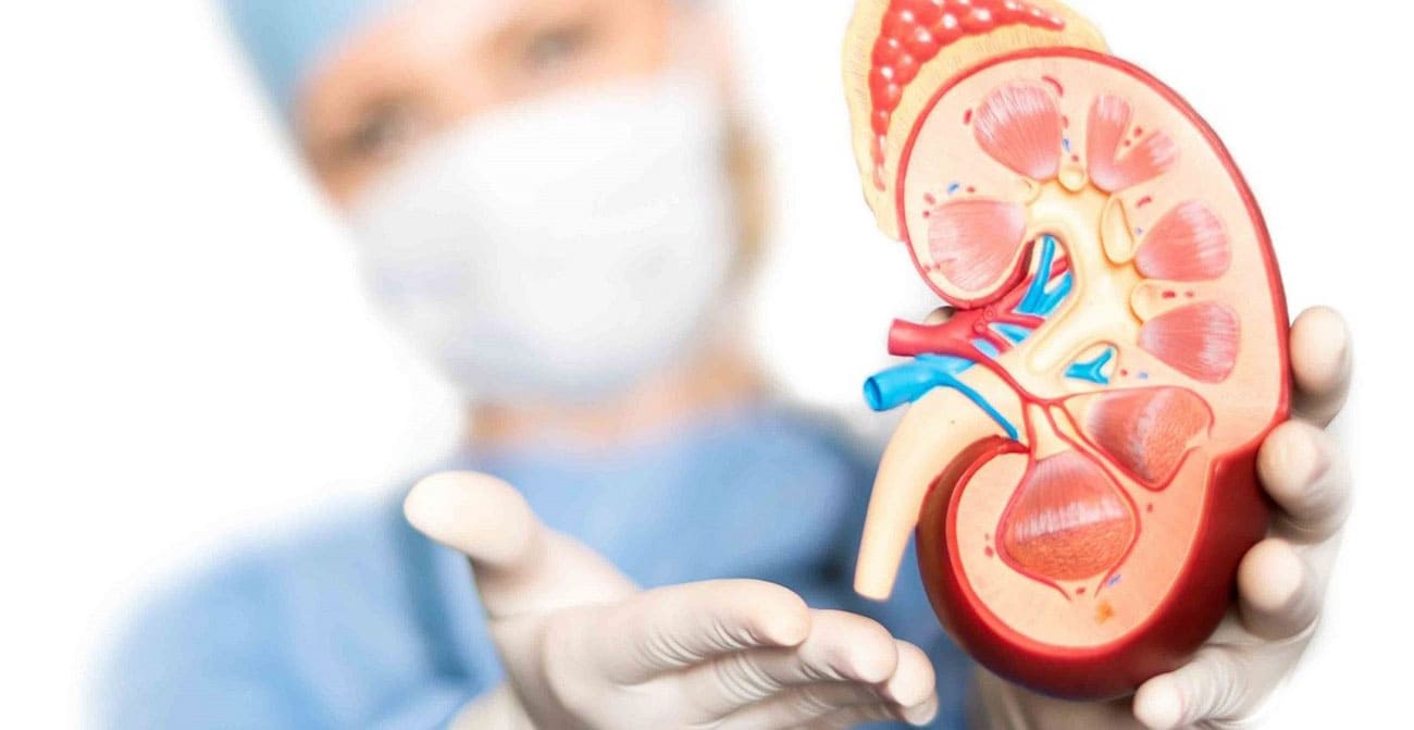 بررسی علل و راهکارهای درمان نارسایی کلیه سالمندان