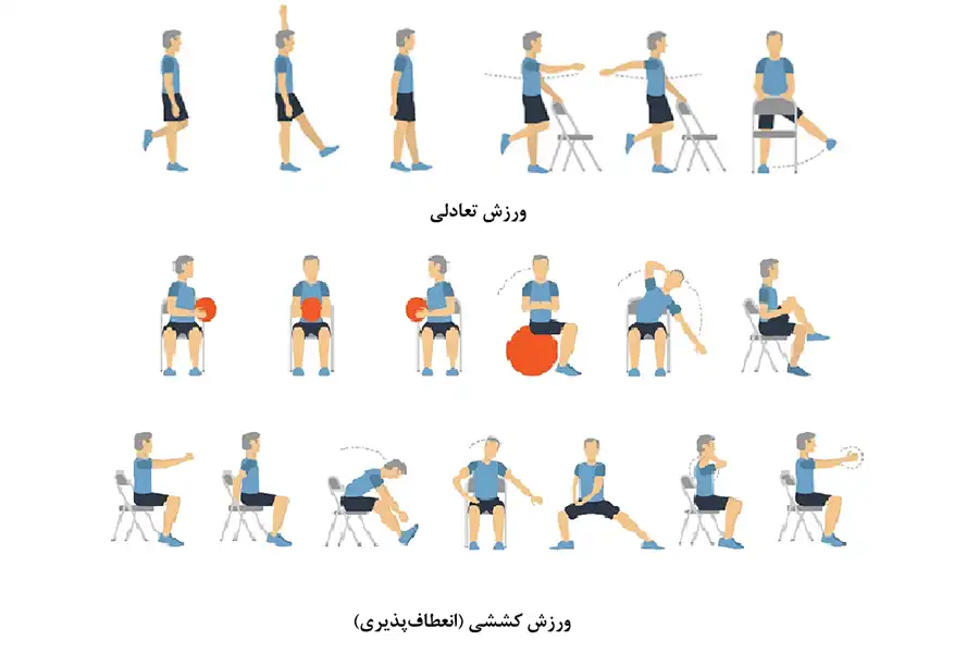 ورزشهای تعادلی برای جلوگیری از زمینخوردن و ورزشهای کششی برای افزایش انعطافپذیری بدن سالمندان مفیدند.
