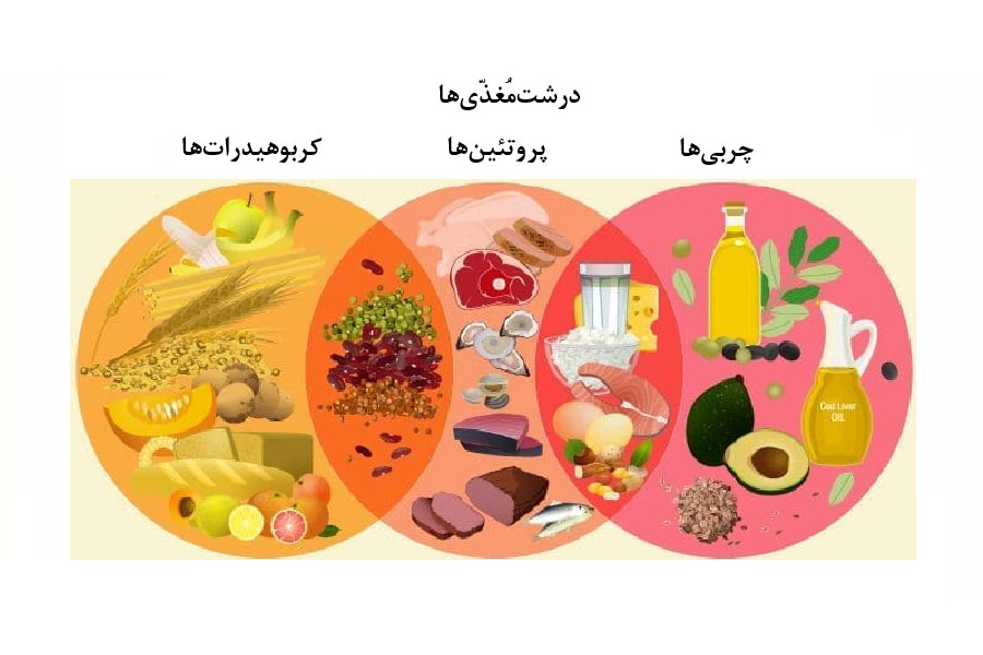 درشتمغذّیها در حجم بالا مورد نیاز بدن هستند و در لیست غذای هفتگی سالمندان، جایگاه اصلی دارند.